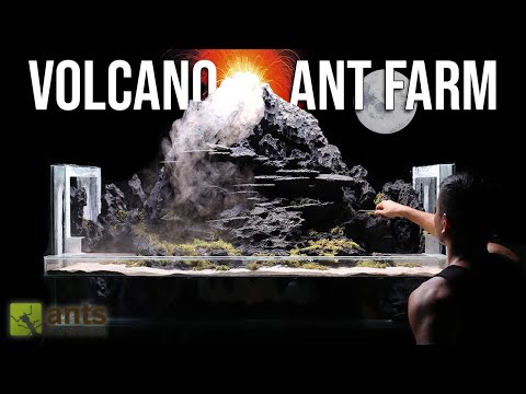 I Created a Volcano Ant Farm for Fire Ants