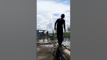 CÂU CÁ BÈ CẦN THƠ