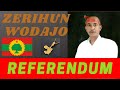 Zerihun wodajo  referendum  oromo music