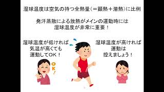 Climate Consultantによる気候分析④ 温度と湿度