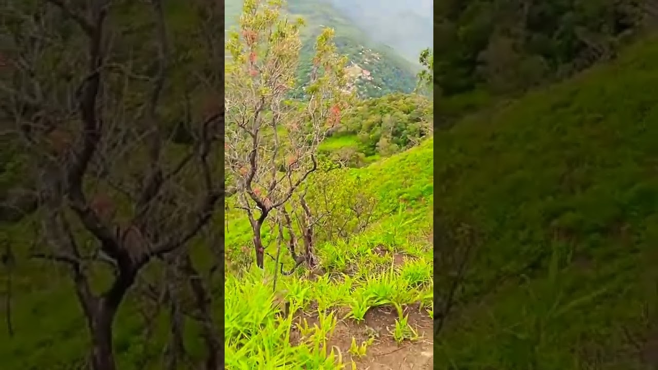 在 YouTube 上觀看「Tumjang silka peak/ Dima Hasao. Natural Beauty 😍😍」 在 YouTube 上觀看「Tumjang silka peak/ Dima Hasao. Natural Beauty 😍😍」