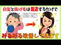 聞き流し用BGM【シャンプーより大事な習慣】白髪と抜け毛の本当の原因は頭皮じゃない、髪が変わる新習慣7選　#健康 #雑学 #更年期