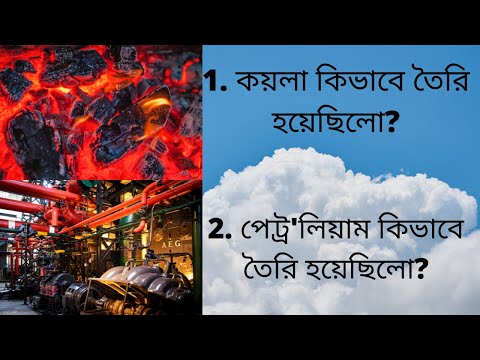 কয়লা কিভাবে তৈরি হয়েছিলো ? পেট্ৰ&rsquo;লিয়াম কিভাবে তৈরি হয়েছিলো? how discover coal and petroleum.