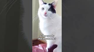 Isnt That Enough Already?