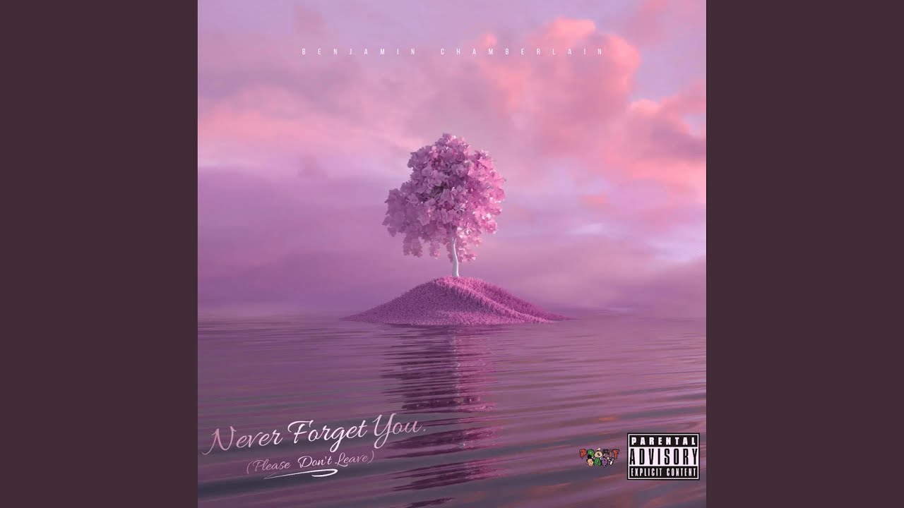 Never Forget You Please Don t Leave feat Benjamin Chamberlain never-forget-you-please-don-t-leave-feat-benjamin-chamberlain