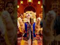 dudi dudi dum dum #funnycats #dudidudidam #qawali #funny