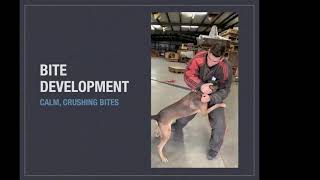 Bitework & Decoy Development: From Rag to Suit
