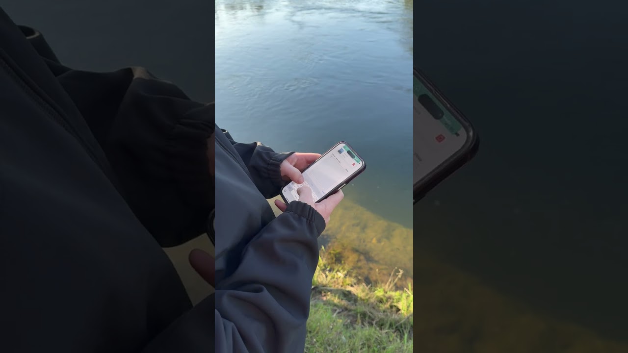 Rongo Kaitiaki Observation App - On Site Demo