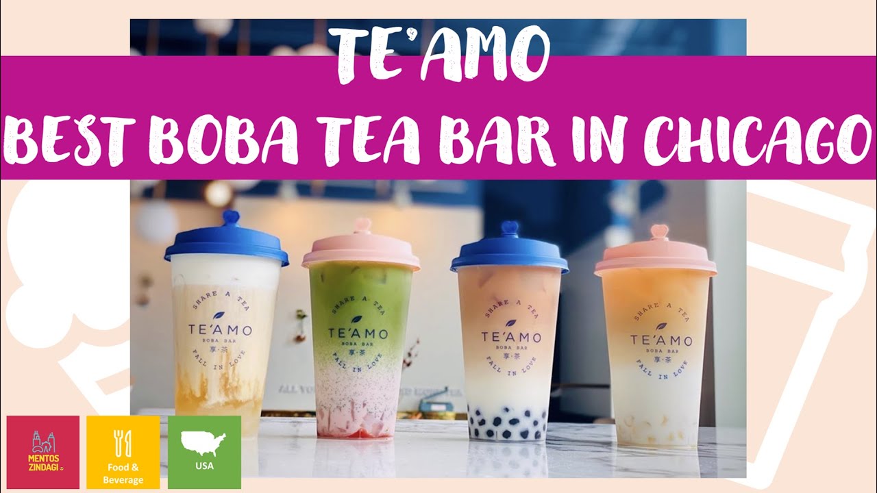 Te'amo Best BoBa Tea Bar Chicago Mentos Zindagi Hindi Vlog 4K YouTube