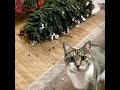 😺 Cats don&#39;t like holidays! 🐈 Funny video with cats and kittens for a good mood! 😸