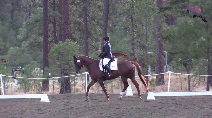 Samantha Higginbotham; Equestrians Institute HT; S...