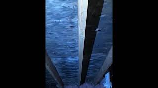 Chicago Home Inspection Explains How Does Mold In An Attic Look | (708) 329-8625 | Call Us!