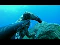 Ψάρια τρόπαια σε πολύ ρηχά νερά|Kostas pouloulis|spearfishing