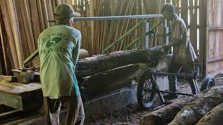 Perfect Wooden Boards: The Magic of Advanced Precision Sawmill Technique