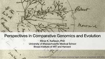 Perspectives in Comparative Genomics and Evolution