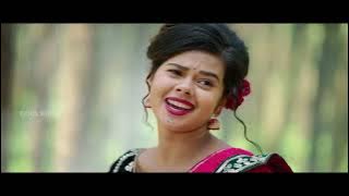 Pardesia Raja | Sambalpuri Song | COPY Full Video
