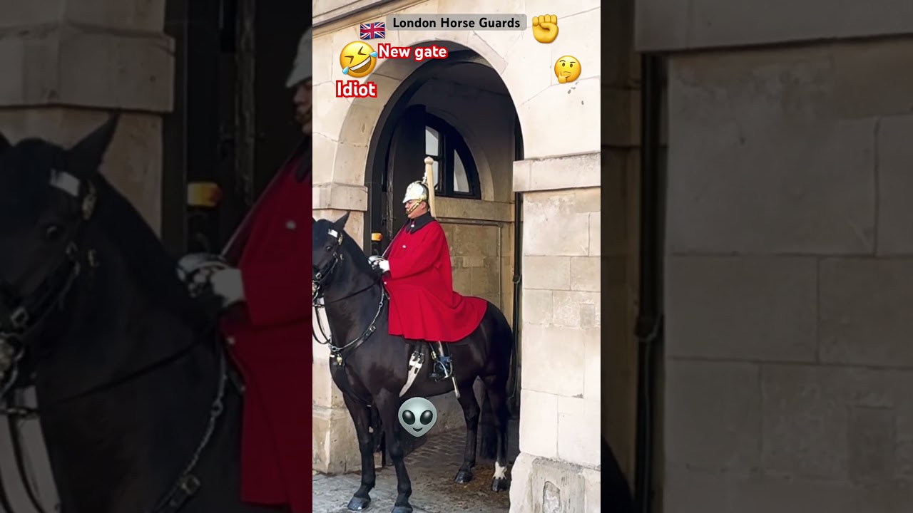 🤣OMG: NO ENTRY ZONE — HE COMES FROM BEHIND! 🐴