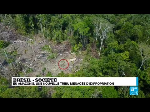 Brésil : un drone filme des images inédites d''un peuple isolé dans la forêt amazonienne