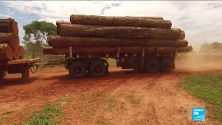 Brazil: Drone captures unprecedented footage of isolated people in the Amazon rainforest
