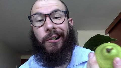 Primary and Secondary Qualities 1