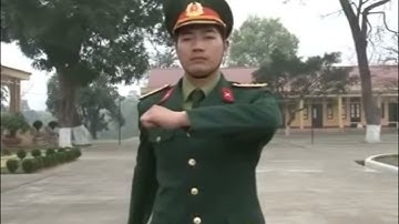 ĐỘNG TÁC ĐI NGHIÊM ĐỨNG LẠI, ĐI ĐỀU CHUYỂN THÀNH ĐI NGHIÊM NHÌN BÊN PHẢI BÊN TRÁI CHÀO VÀ THÔI CHÀO