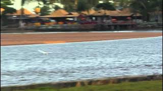 Visiohm Nature 2013 Chamada