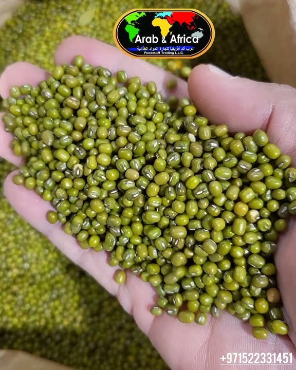 Green Moong Dal. Mung beans. Green gram, Maash ٫ Mung, Monggo. Green Mung Dal. Green Moong Dal. Dal.
