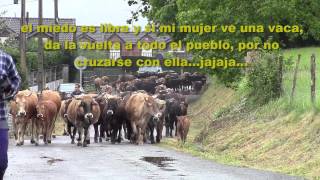 FERIA EXPOSICIÓN DE GANADO VACUNO ( guriezo - cantabria - San Isidro 2015 ) 1ª parte