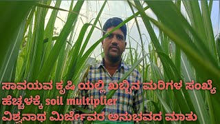 ಸಾವಯವ ಕೃಷಿ ಯಲ್ಲಿ ಖಬ್ಬಿನ ಮರಿಗಳ ಸಂಖ್ಯೆ ಹೆಚ್ಚಳಕ್ಕೆ soil multiplier ವಿಶ್ವನಾಥ ಮಿರ್ಜೇವರ ಅನುಭವದ ಮಾತು