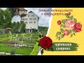 Tour of Schloss Heidegg (CH) &amp; Rhubarb Cordial