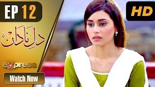 Drama Dil E Nadaan - Episode 12 Express Entertainment Drama Abid Ali, Zaheen Tahira, Nida