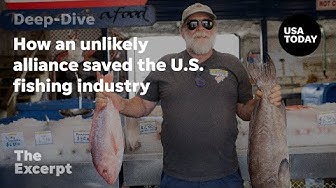 Thumbnail for How an unlikely alliance saved the U.S. fishing industry | The Excerpt