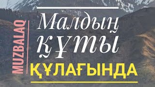 Қазақы ырымдар мен тиымдар.