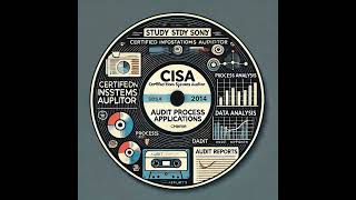 CISA Chapter 1 Audit Process Applications