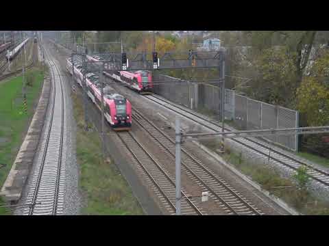 Brno★Rush! (乗車録単品)