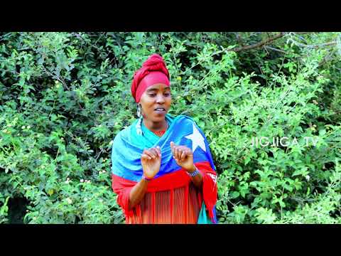 Dhaanto Cusub Gobalada Afdheer Iyo Libaan Abwanada Rays 