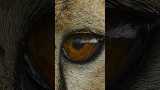 Can 20 9MP create sharp images