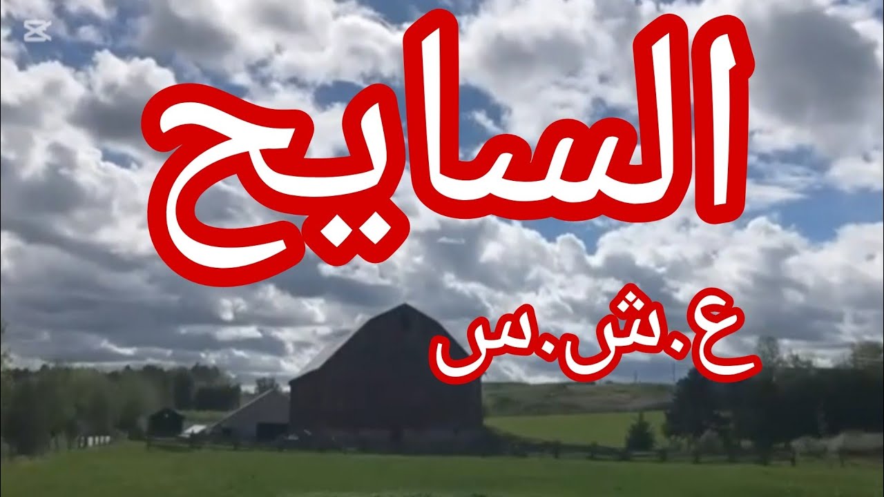 حكاية السايح..