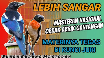 MATERI SANGAR SIAP DI KUNCI JURI!! Suara Burung MASTERAN Untuk BURUNG FIGHTER - MASTERAN NASIONAL