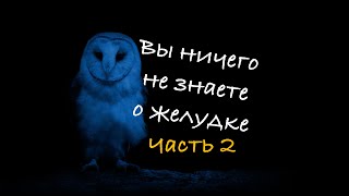 Вы ничего не знаете о желудке часть 2