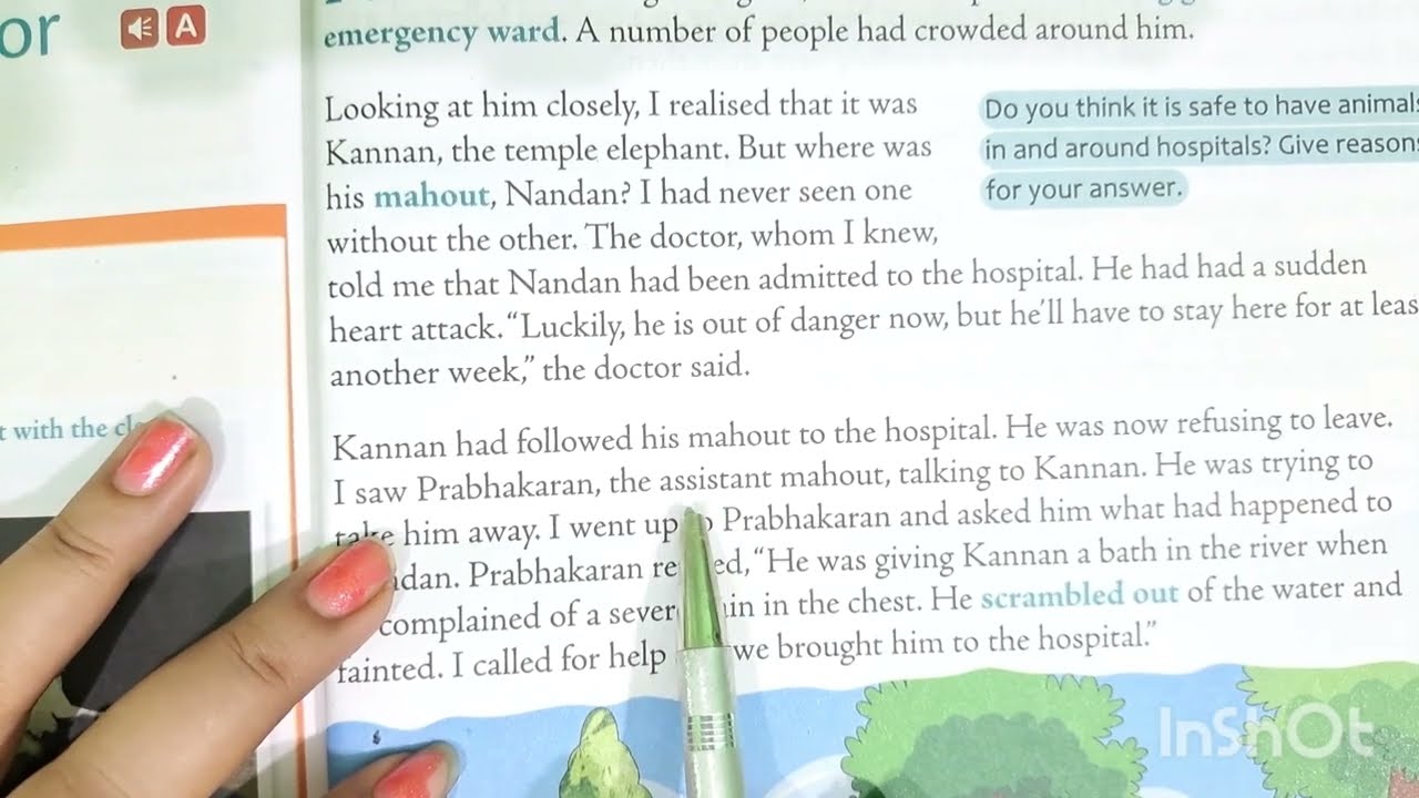 A strange visitor Class 4 English ch - 10 explain in hindi