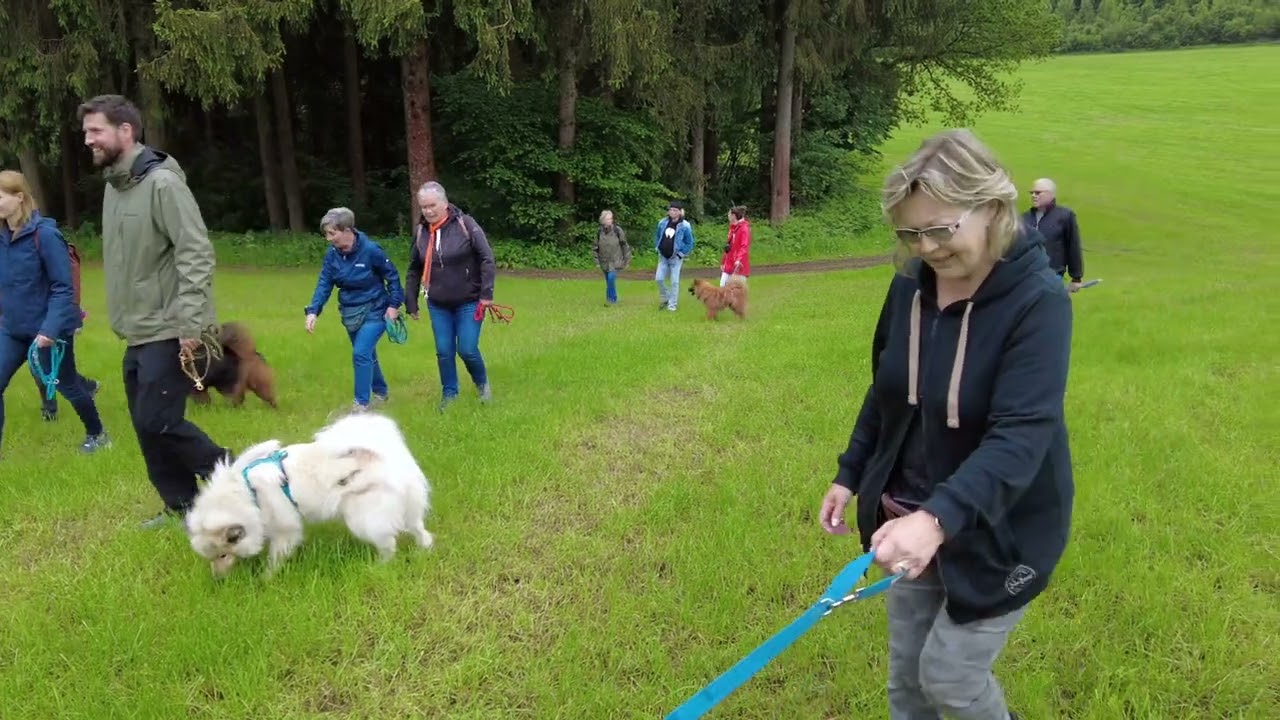 Wurftreffen Eurasier von der Schmalen Burg
