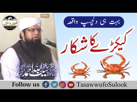 Crabs Catching | کیکڑے کا شکار | Sahibzada Hazrat Molana Saifullah Naqshbandi db