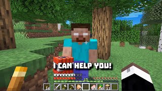 Don't Be Friends with Herobrine in minecraft By Boris Craft meme Video