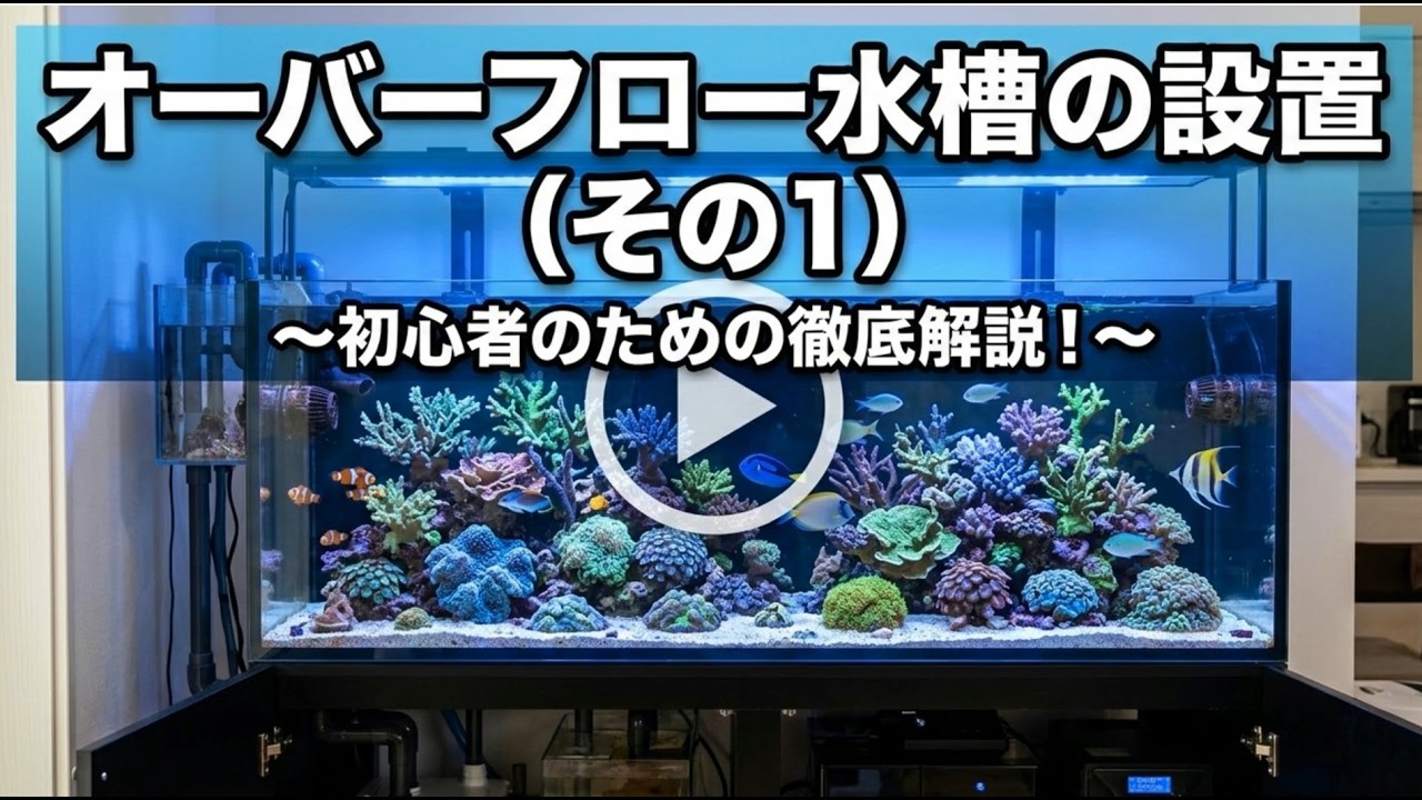 K　オーバーフロー水槽 Setting Up an Overflow Tank (Part 1) - YouTube