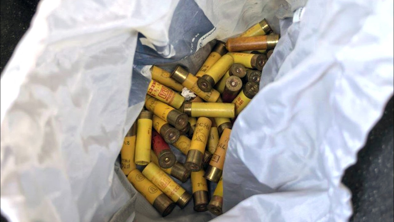 54 боевых патрона обнаружили минские таможенники в легковом автомобиле, ввезенном из Литвы