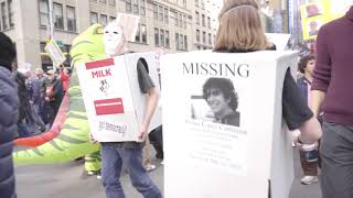 Got Democracy Missing