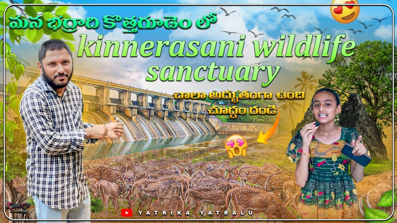 A Day in the Life of Kinnerasani’s Wildlife: Nature's Playground | Yatrika Yatralu