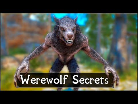 Video: What Secrets Does The Werewolf Hide? - Alternative View