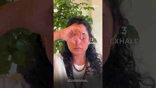 Mapping Your Nervous System | EP. 4: Alternate Nostril Breathing - Harmonize the System